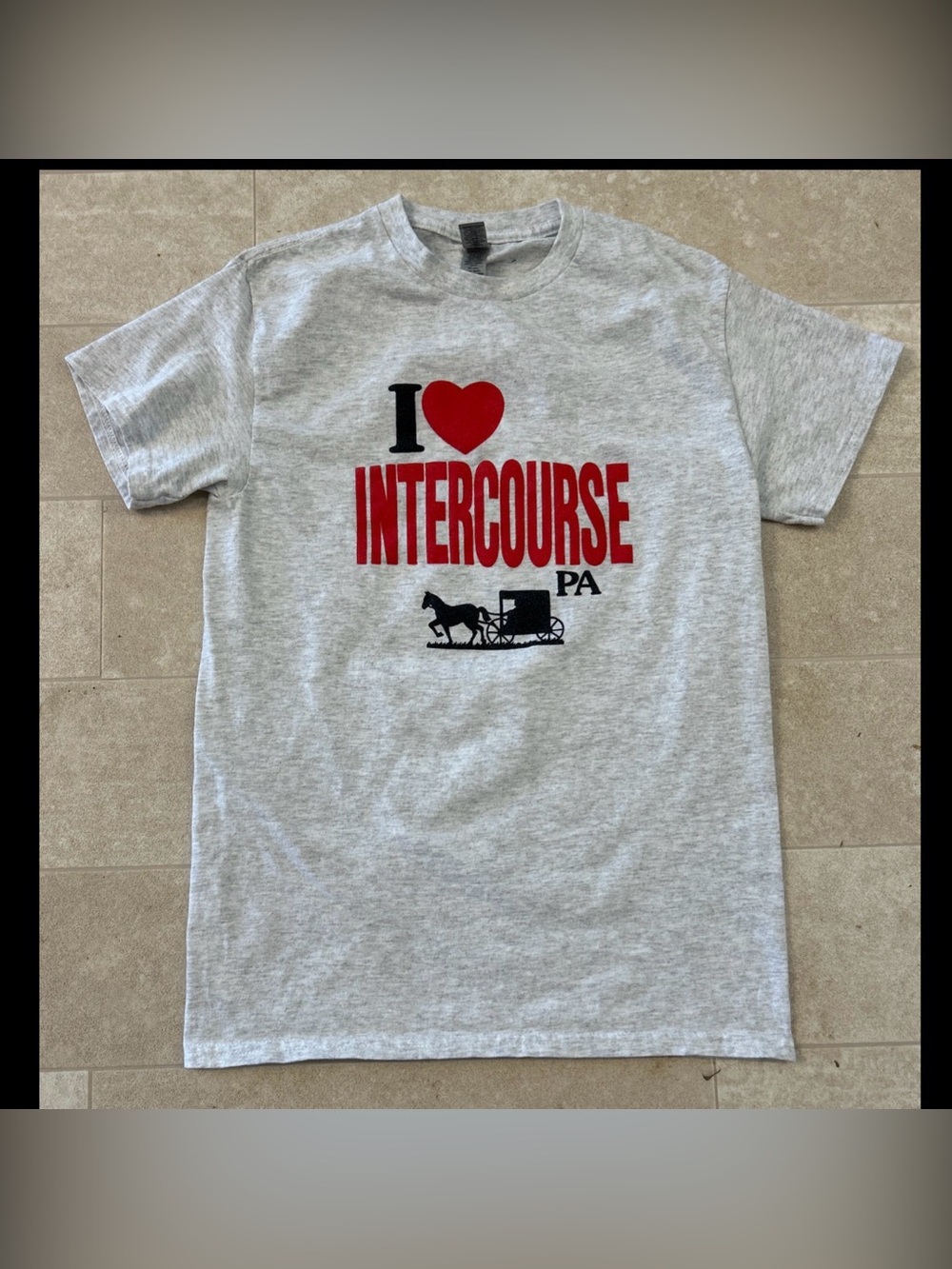 Intercourse PA Funny Gray T-Shirt Mens Small Cotton White Elephant Gift